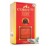 Cordy Plus,  ,  Cordy Plus,   , Cordy Plus Ҥ,   Ҥ, Cordy Plus ,   , Cordy Plus ,   , Cordy Plus Review,   Review, Cordy Plus ѹԻ,   ѹԻ